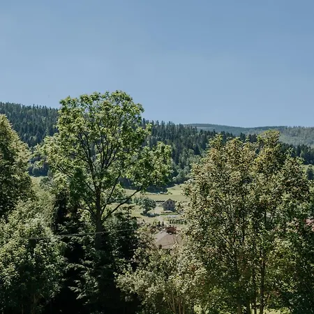 Jodelka Appartement Szczyrk