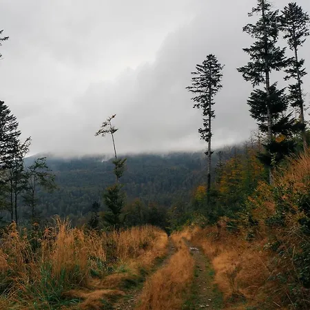 Jodelka Appartement *