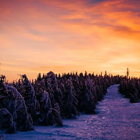 Appartement Jodelka *