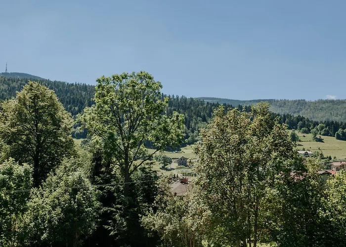 Jodelka Apartment Szczyrk