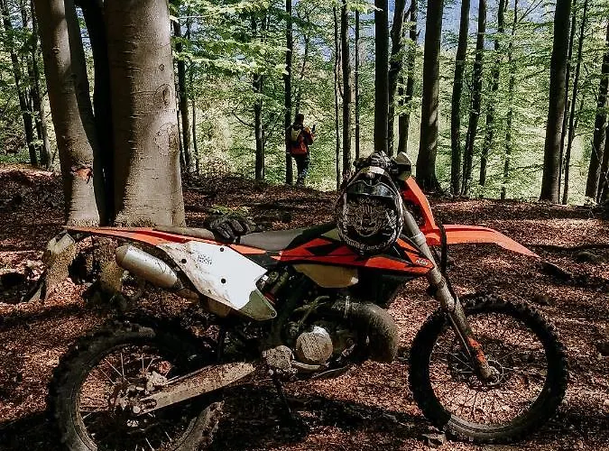 Jodelka דירה שצ'צ'ירק