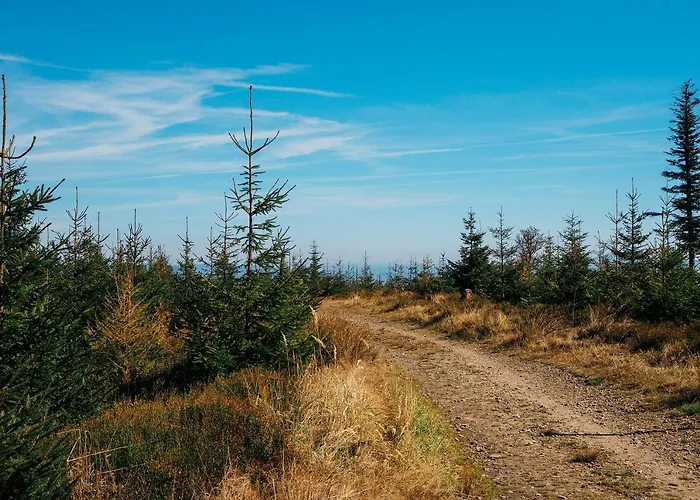 דירה Jodelka שצ'צ'ירק