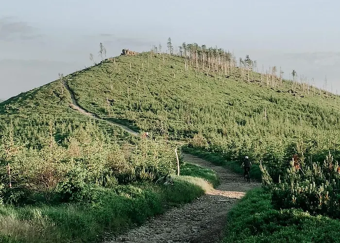 Jodelka Lejlighed Szczyrk