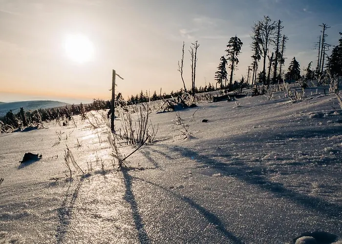 Jodelka דירה שצ'צ'ירק